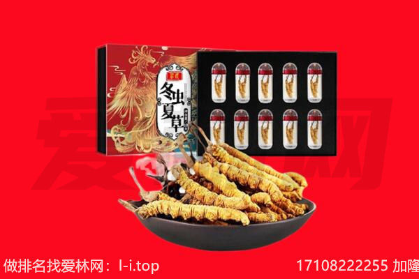 新余回收虫草.jpg